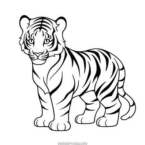 tigre disegno facile.